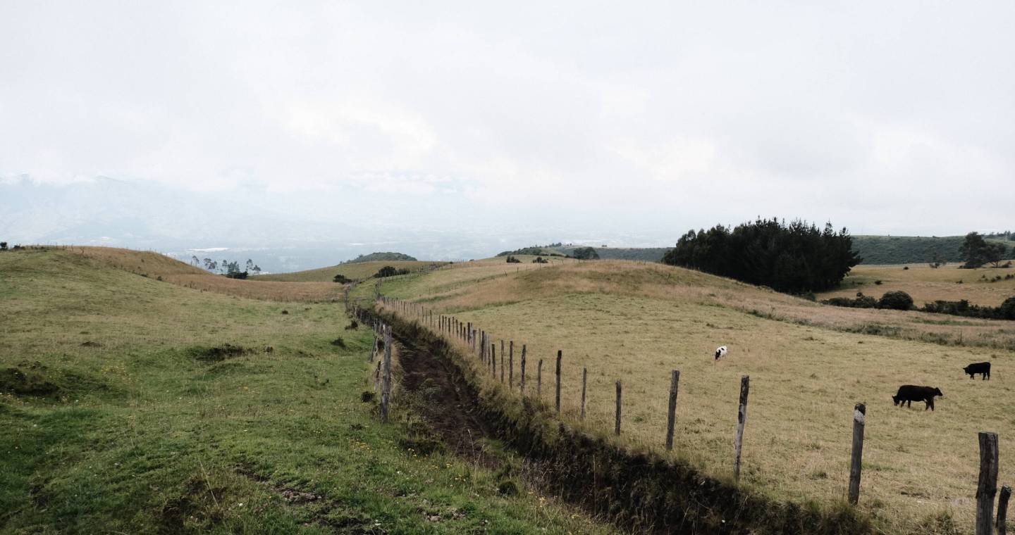 FOTOS-VIDA-DE-CAMPO-10